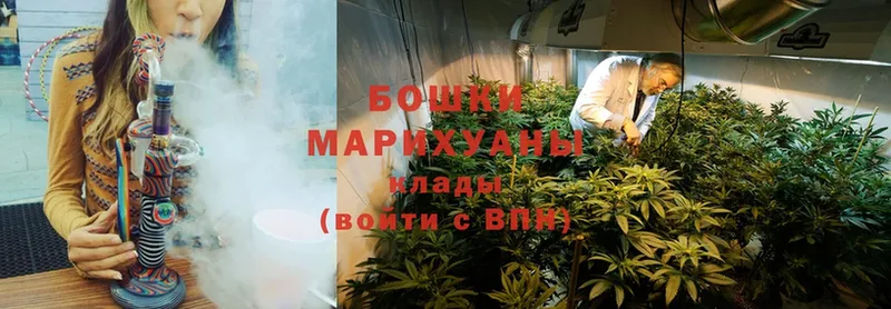 Канабис Bruce Banner  купить наркотик  Иннополис 